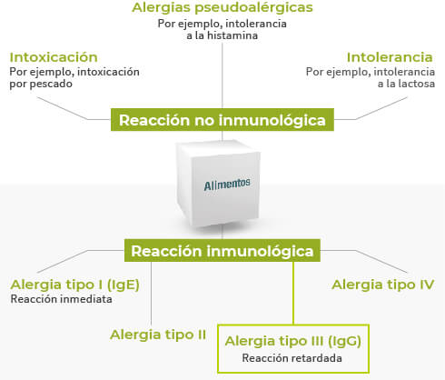 alergia-alimentaria-tipo-III-instituto-microecologia-que-es
