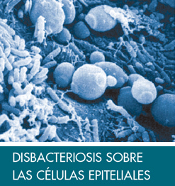 microbiota-protectora-disbacteriosis-celulas-epiteliales-glosario-ime