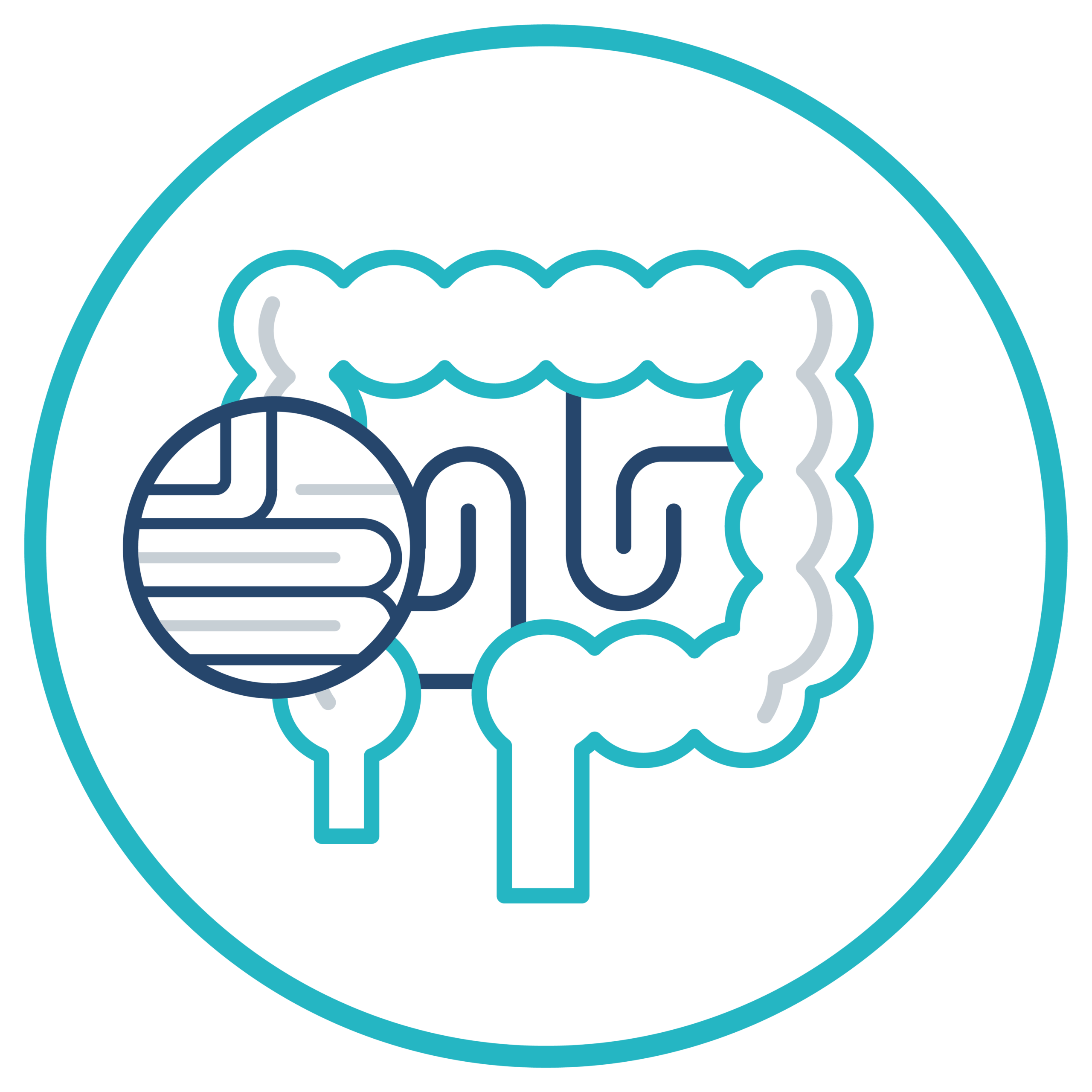 Estudio Microbiota Intestinal II