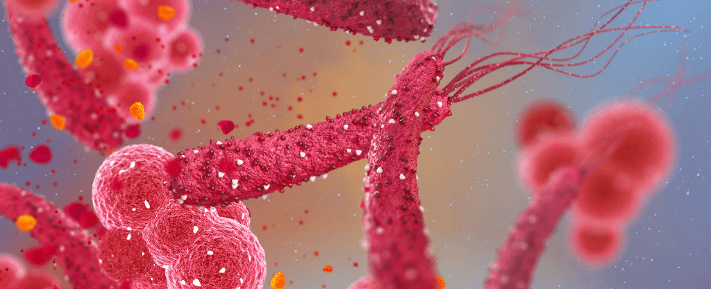 helicobacter pylori imagen artículo