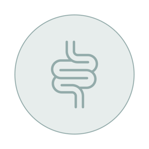 Estudio de disbiosis intestinal