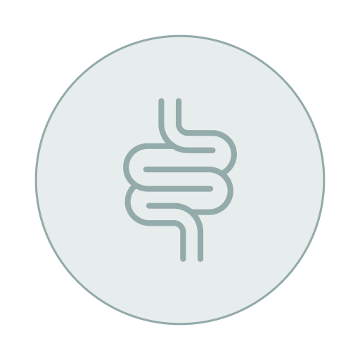 Estudio de disbiosis intestinal