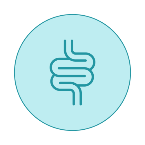 Estudio avanzado de salud intestinal