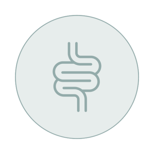Estudio de disbiosis intestinal: KyberBioma