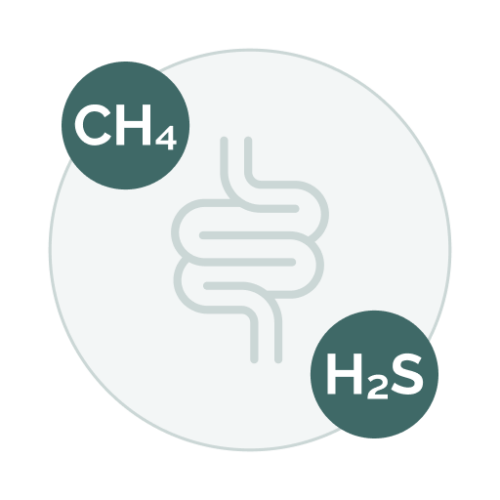 Microorganismos Hidrogenotróficos