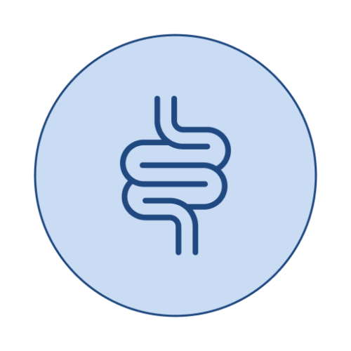 Welmicro Gut