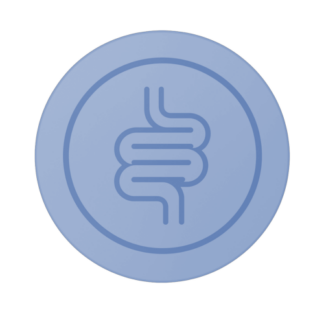 Wellmicro Gut Test Plus
