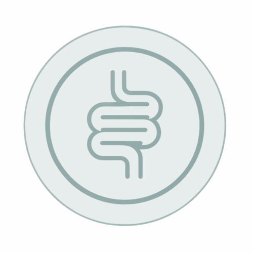 Estudio de disbiosis intestinal: KyberBioma