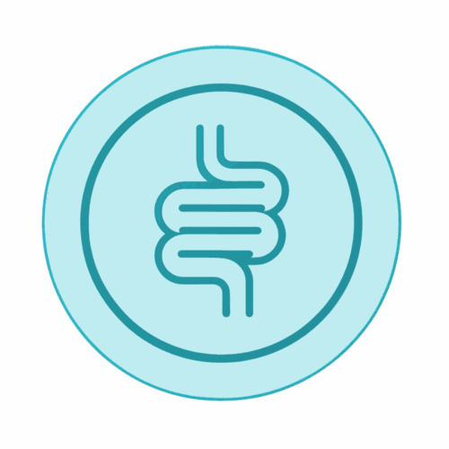 Estudio avanzado de salud intestinal